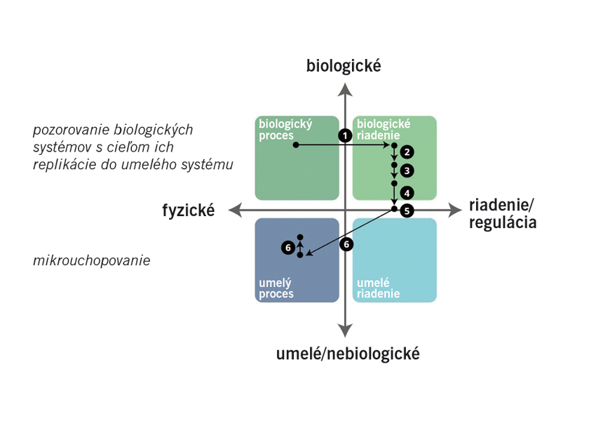 Obr. 7 Logická postupnosť v oblasti pôsobenia biointeligentnej výroby v procese mikrouchopovania: 1. pozorovanie a konceptualizácia, 2. preskúmať potenciálne aplikácie, 3. výber aplikácie, 4. prihláška návrhu, 5. návrh mikrochápadla, 6. výroba mikrochápadla, 6. aplikácia mikrochápadla na konkrétny účel